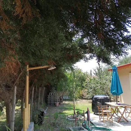 Tiny House By The Sea نيا سكيوني