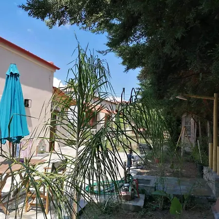 Tiny House By The Sea * نيا سكيوني