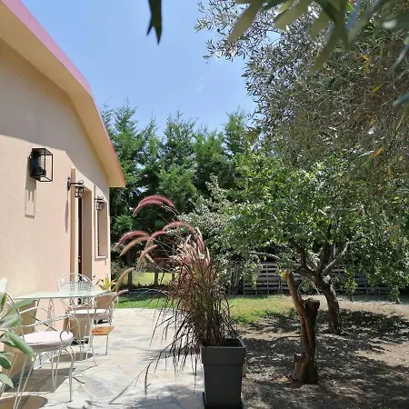 بيت للعطل Tiny House By The Sea نيا سكيوني