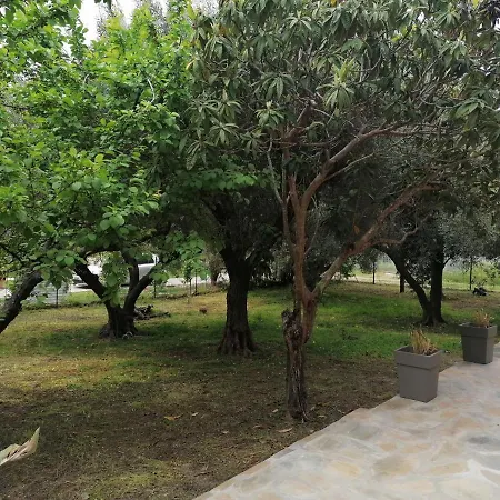 Tiny House By The Sea Tatil Evi Nea Skioni